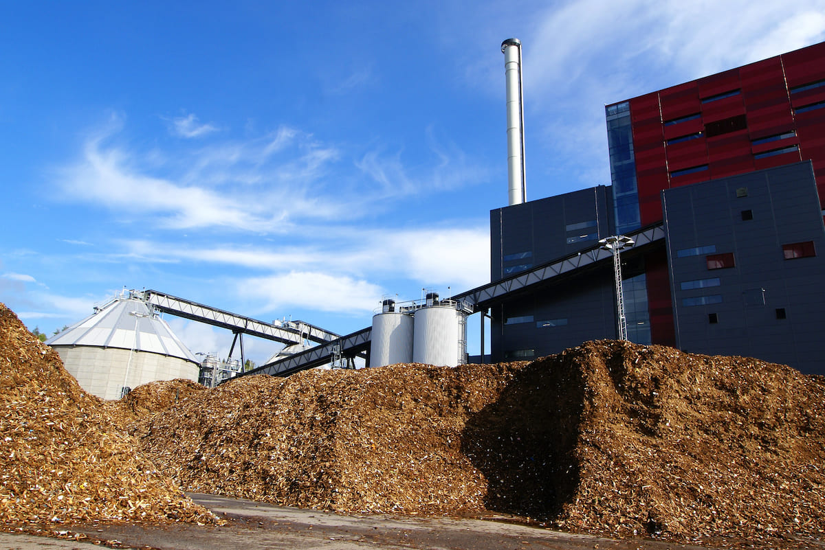 Biomasse, via alle richieste su GRIN del premio filiera corta 23-24