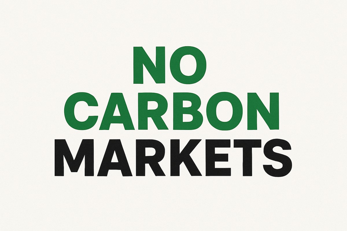 Il ruolo dei crediti di carbonio internazionali e i rischi per l’integrità climatica europea