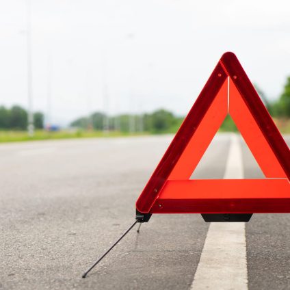 Rinnovabili •  Green deal o green crash?