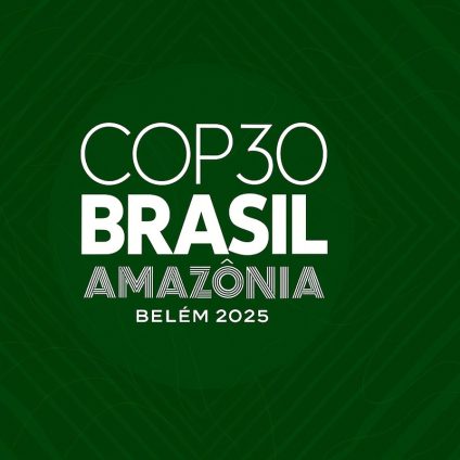 Rinnovabili • riforma-della-cop-attuazione-consenso