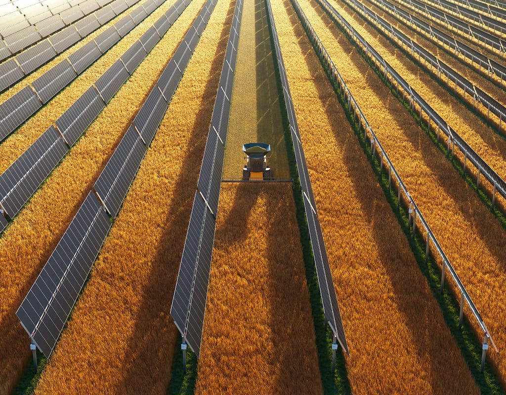 Agrivoltaico: +186% di efficienza del suolo e +157% di ottimizzazione idrica per i campi
