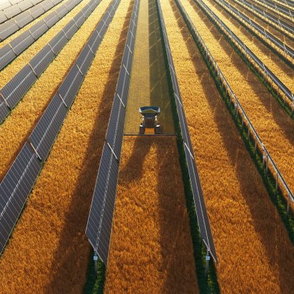 Rinnovabili • Agrivoltaico: +186% di efficienza del suolo e +157% di ottimizzazione idrica per i campi