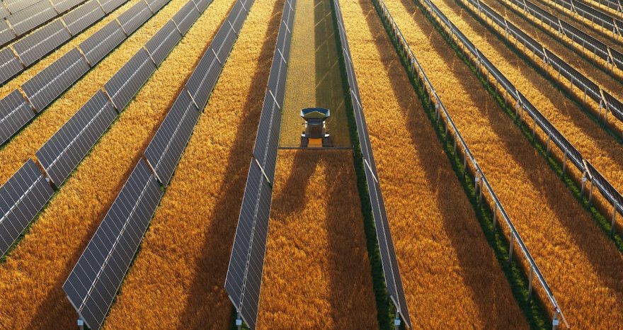 Rinnovabili • Agrivoltaico: +186% di efficienza del suolo e +157% di ottimizzazione idrica per i campi