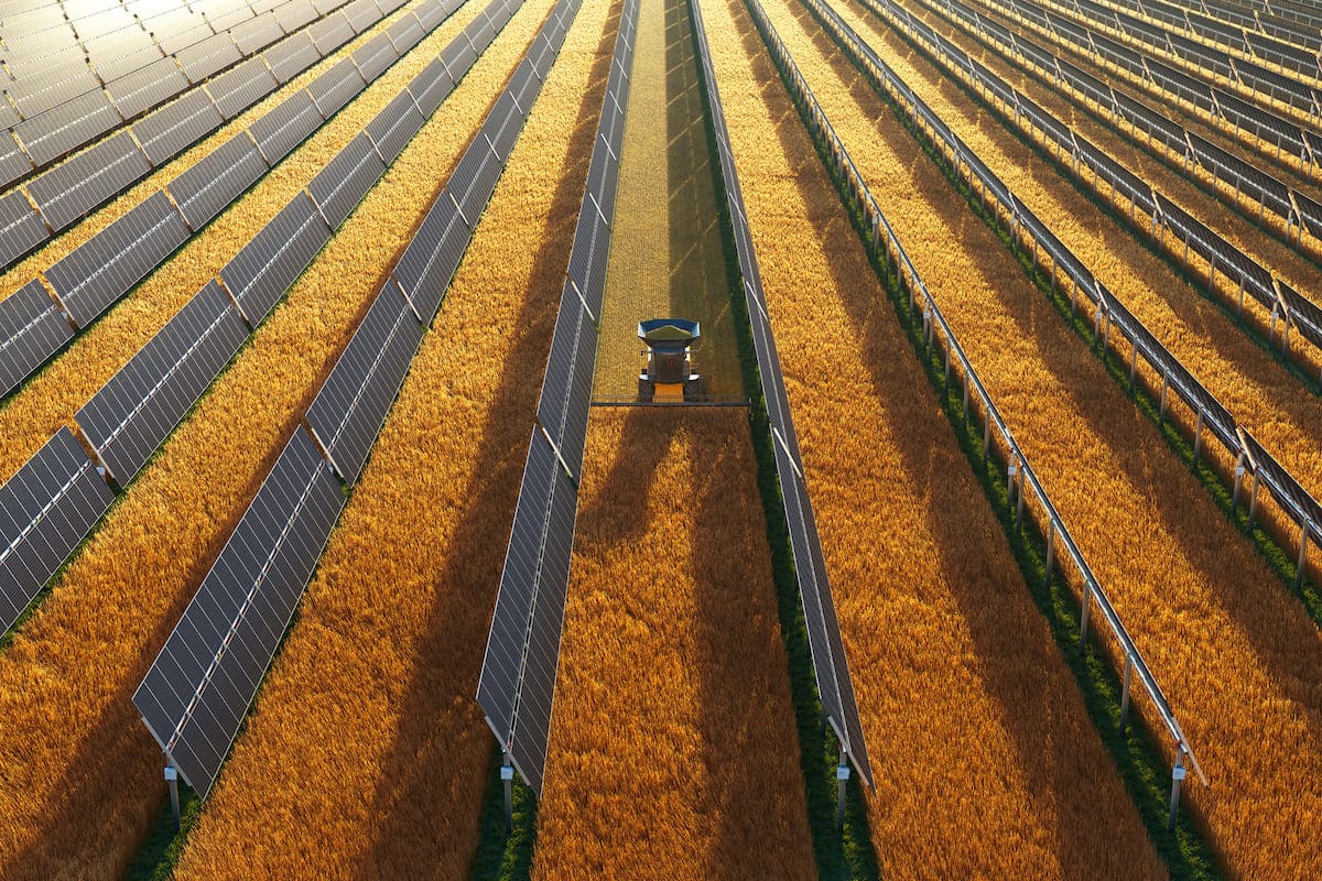 Rinnovabili • Agrivoltaico: +186% di efficienza del suolo e +157% di ottimizzazione idrica per i campi