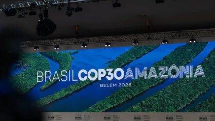 Rinnovabili • Cosa aspettarsi dalla COP30 di Belém