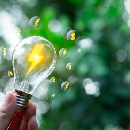 Rinnovabili • IEA WEO 2025, tra rischi e vulnerabilità il futuro diventa complesso