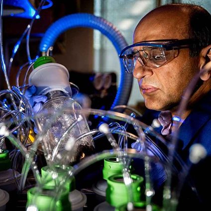 Rinnovabili • Elettronica biodegradabile e fine vita: uno studio della Northeastern University rivela microplastiche e polimeri persistenti anche dopo anni.