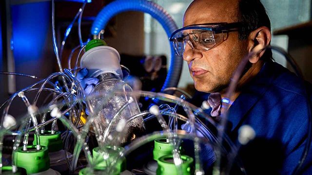 Rinnovabili • Elettronica biodegradabile e fine vita: uno studio della Northeastern University rivela microplastiche e polimeri persistenti anche dopo anni.