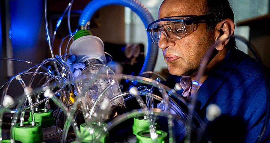 Rinnovabili • Elettronica biodegradabile e fine vita: uno studio della Northeastern University rivela microplastiche e polimeri persistenti anche dopo anni.