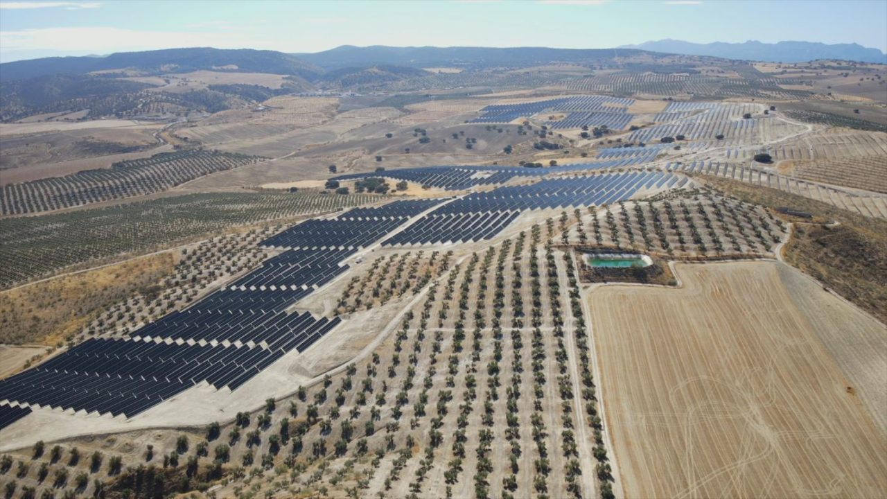 Rinnovabili • Plenitude accelera la sua crescita in Spagna con l’avvio dell’impianto solare di Caparacena da 150 MW