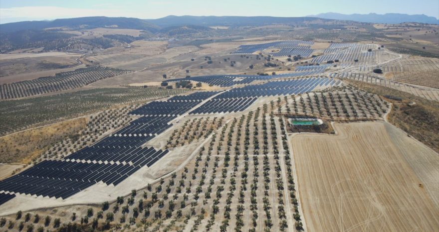 Rinnovabili • Plenitude accelera la sua crescita in Spagna con l’avvio dell’impianto solare di Caparacena da 150 MW