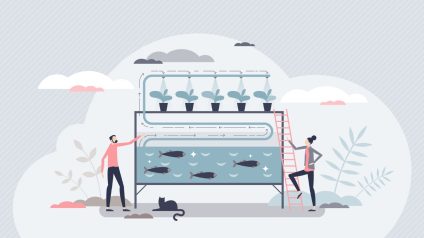 Rinnovabili • Agricoltura acquaponica: una promessa di sostenibilità e sicurezza
