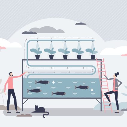 Rinnovabili • Agricoltura acquaponica: una promessa di sostenibilità e sicurezza