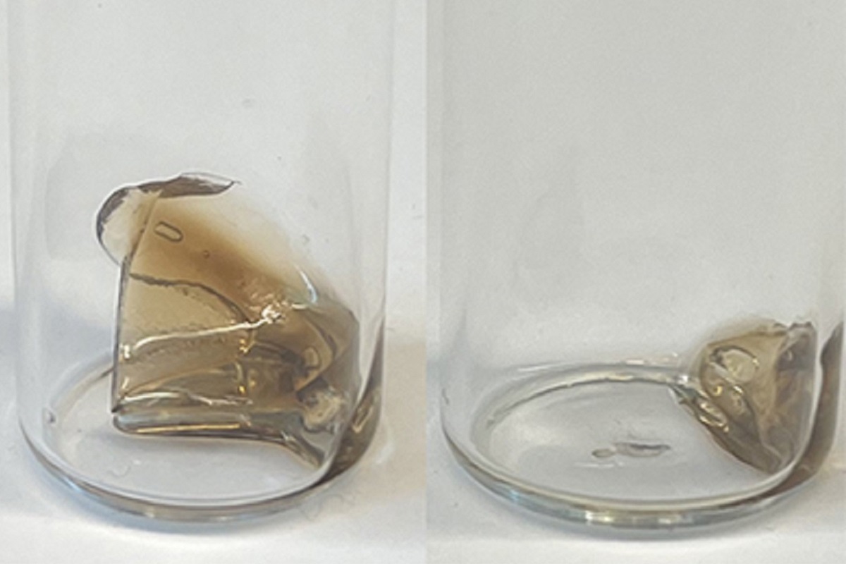 Addio rifiuti in plastica: arriva il polimero sintetico che si autodistrugge