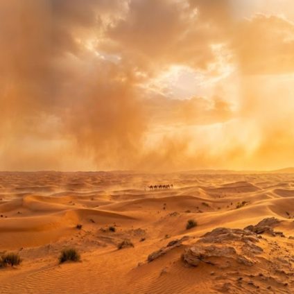 Rinnovabili • cambiamento-climatico-regione-araba