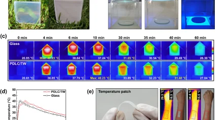 Rinnovabili &bull; Le potenzialità del legno trasparente in edilizia