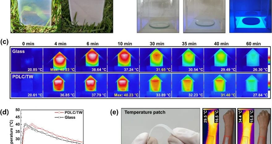 Rinnovabili • Le potenzialità del legno trasparente in edilizia