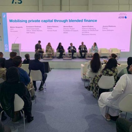 Rinnovabili • Blended Finance: la sfida del 