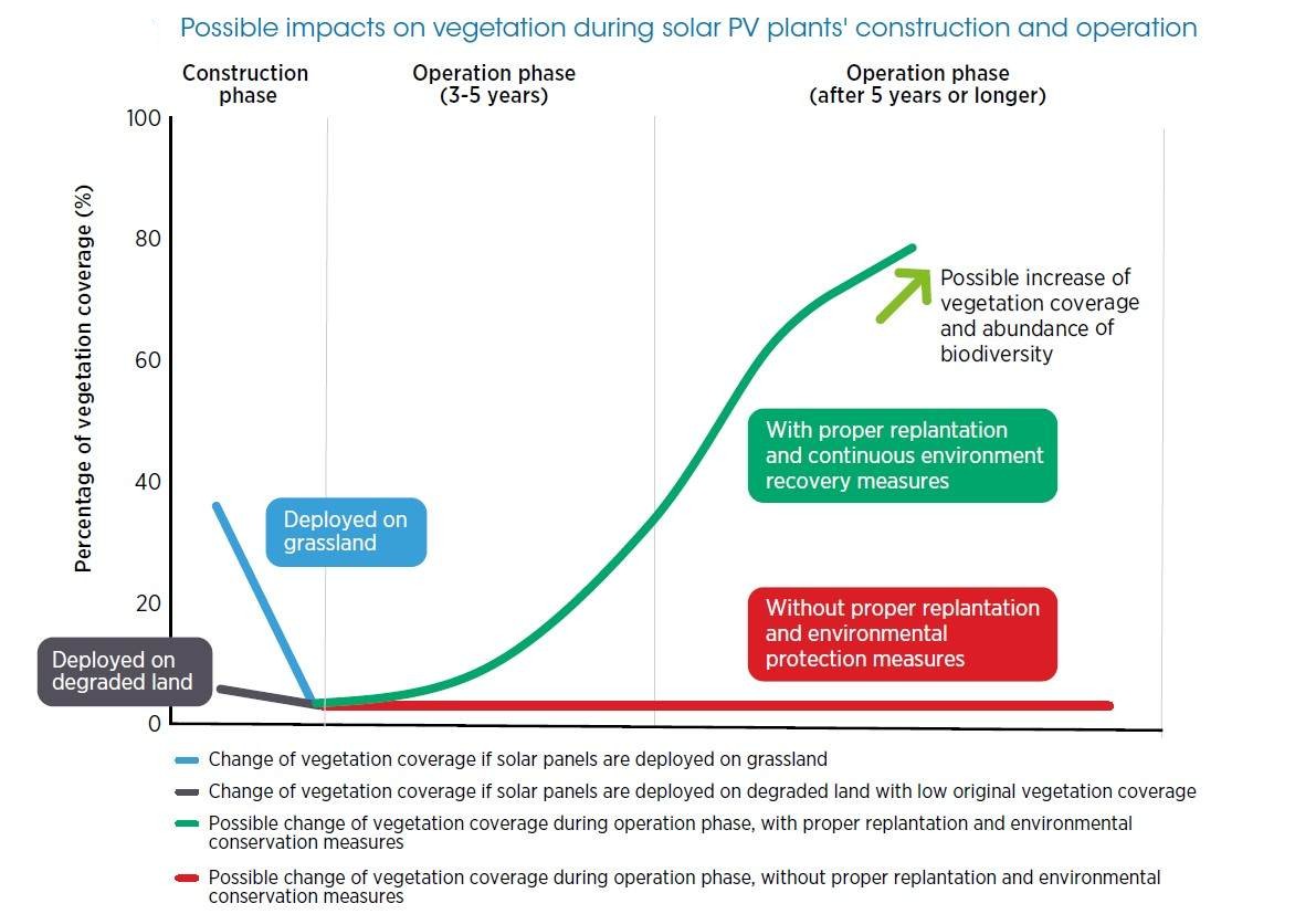 Impatti ambientali fotovoltaico - Possible impacts on vegetation during solar PV plants' construction and operation