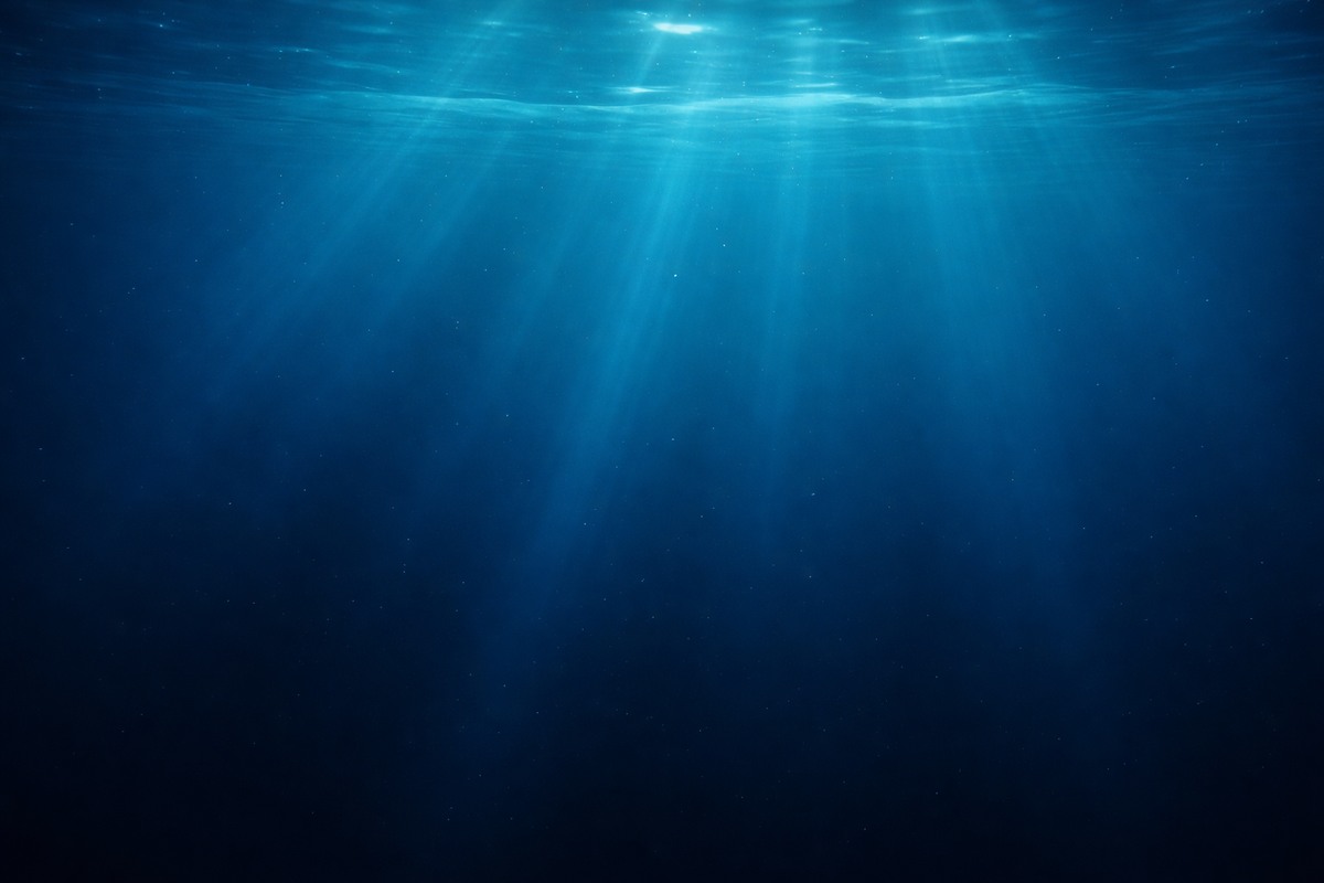 Rinnovabili • estrazione-mineraria-dai-fondali-marini-trump