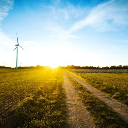 Rinnovabili • Recepimento RED III: il D.Lgs. entra in vigore il 4 febbraio 2026