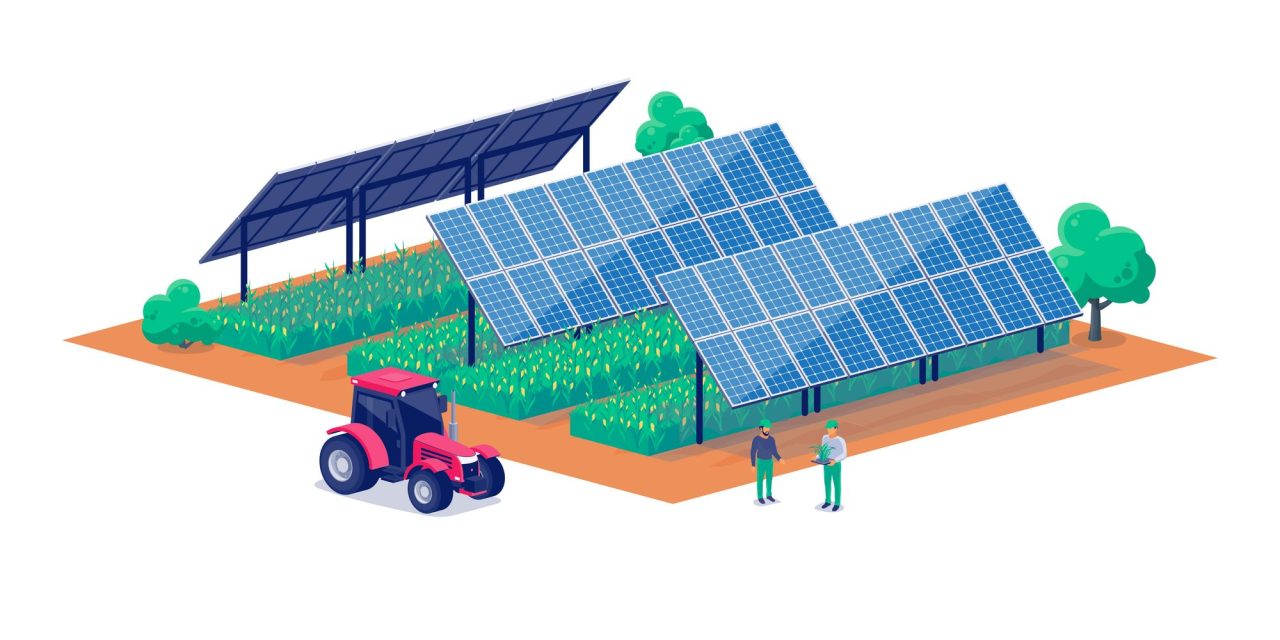 Rinnovabili • Le sfide economiche e operative dell’agrivoltaico