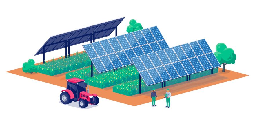 Rinnovabili • Le sfide economiche e operative dell’agrivoltaico