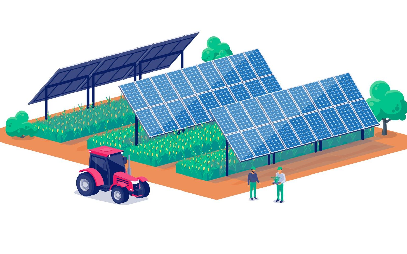 Le sfide economiche e operative dell’agrivoltaico
