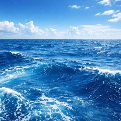 Rinnovabili • trattato-sullalto-mare-italia-biodiversita