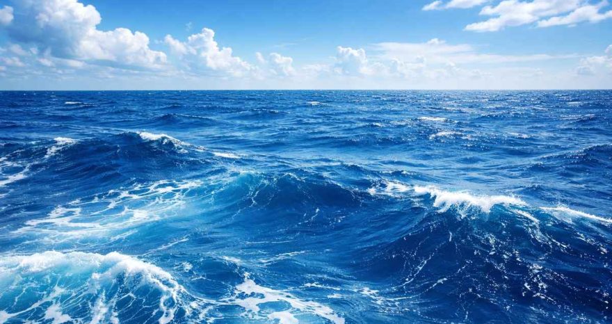 Rinnovabili • trattato-sullalto-mare-italia-biodiversita