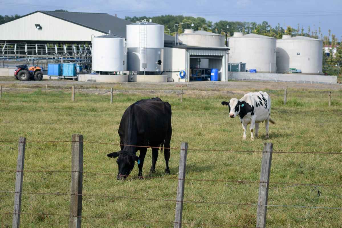 Fino a 5,7 mld di m3/anno: il potenziale del biometano agricolo