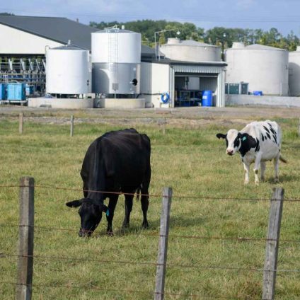 Rinnovabili • Biometano da scarti agricoli, il potenziale italiano: 5,7 mld m³ l’anno