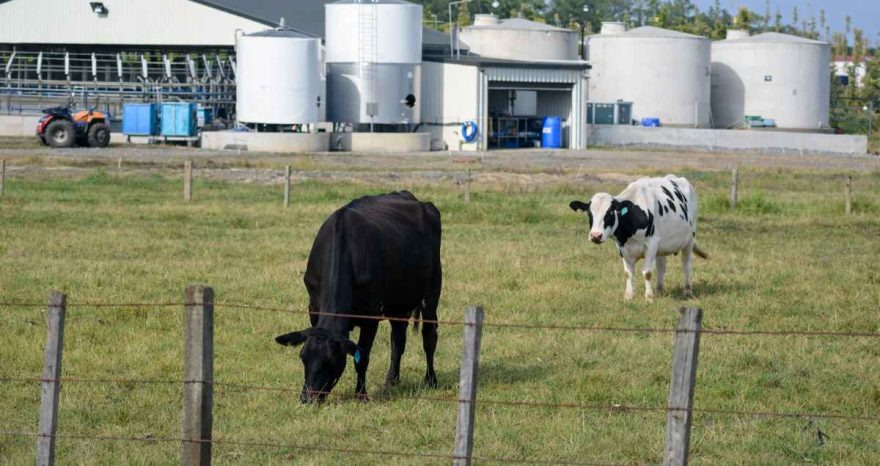 Rinnovabili • Biometano da scarti agricoli, il potenziale italiano: 5,7 mld m³ l’anno