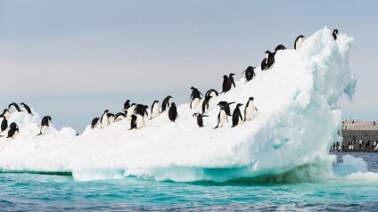 Rinnovabili • penisola-antartica-riscaldamento-globale