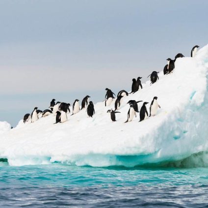 Rinnovabili • penisola-antartica-riscaldamento-globale