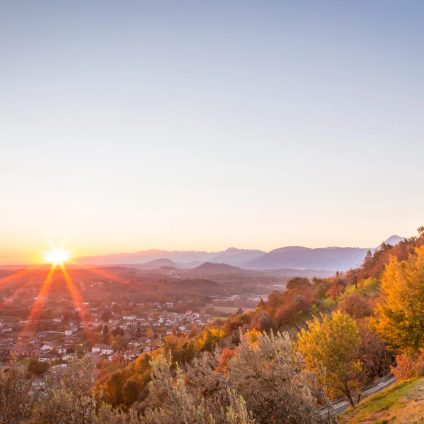 Rinnovabili • Il nuovo bando Fotovoltaico Imprese Agricole della Regione Friuli Venezia Giulia