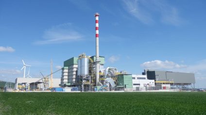 Rinnovabili • Dl Bollette, EBS: le biomasse solide sono infrastruttura strategica per il Paese, non un costo da tagliare