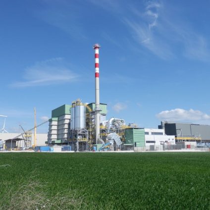 Rinnovabili • Dl Bollette, EBS: le biomasse solide sono infrastruttura strategica per il Paese, non un costo da tagliare