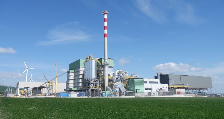 Rinnovabili • Dl Bollette, EBS: le biomasse solide sono infrastruttura strategica per il Paese, non un costo da tagliare