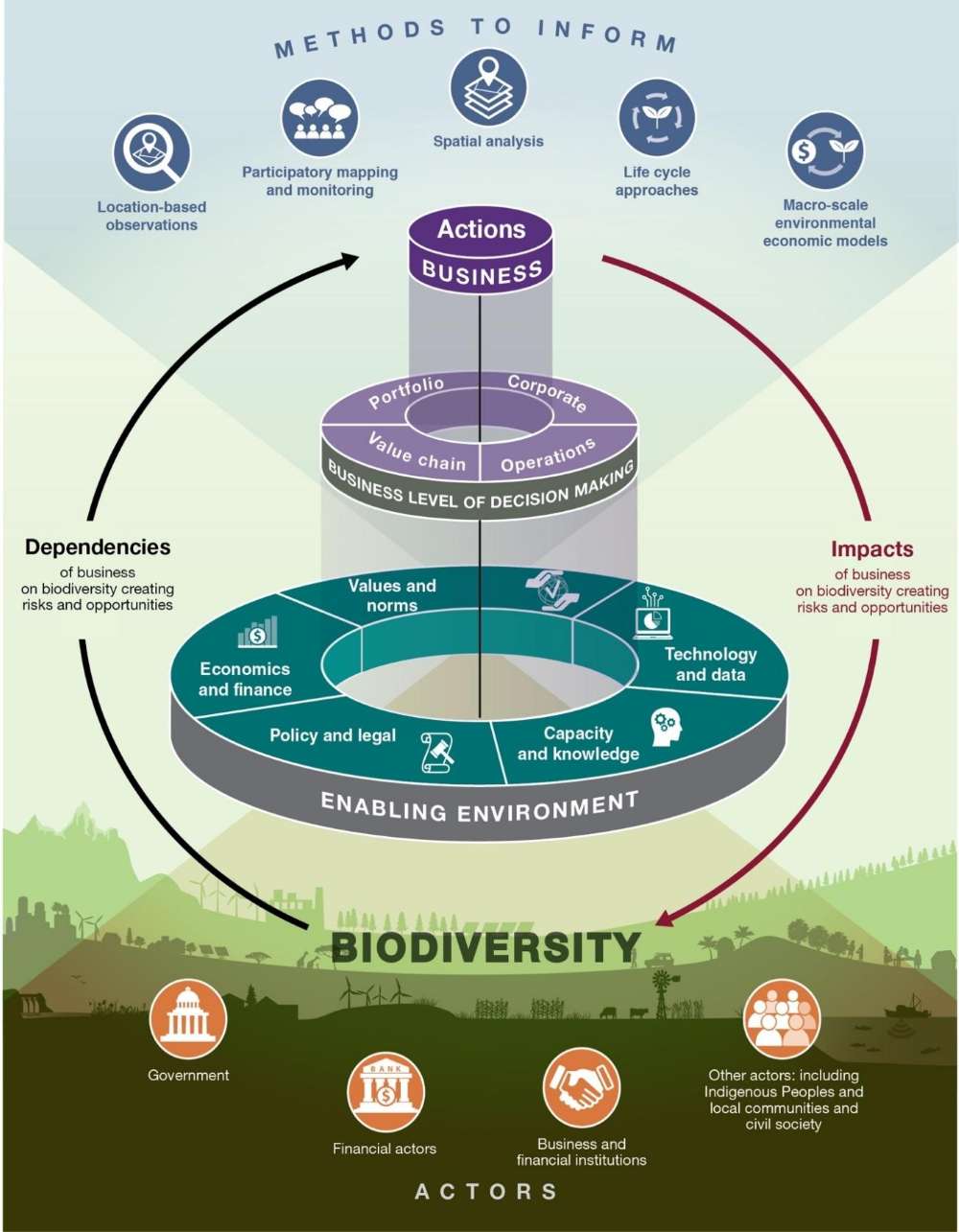 Imprese e biodiversità. Le aziende dipendono dalla biodiversità e la influenzano, creando rischi e opportunità.