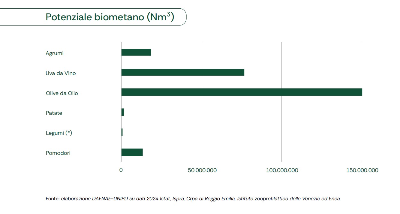 Potenziale biometato (Nm3)