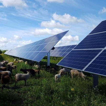 Rinnovabili • Presentato il Piano Strategico Enel 2026-2028), fonte ENEL