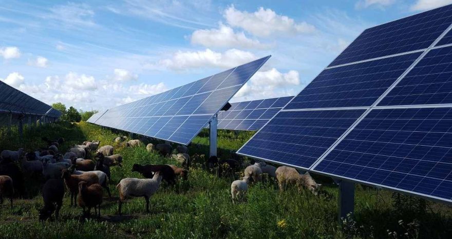 Rinnovabili • Presentato il Piano Strategico Enel 2026-2028), fonte ENEL