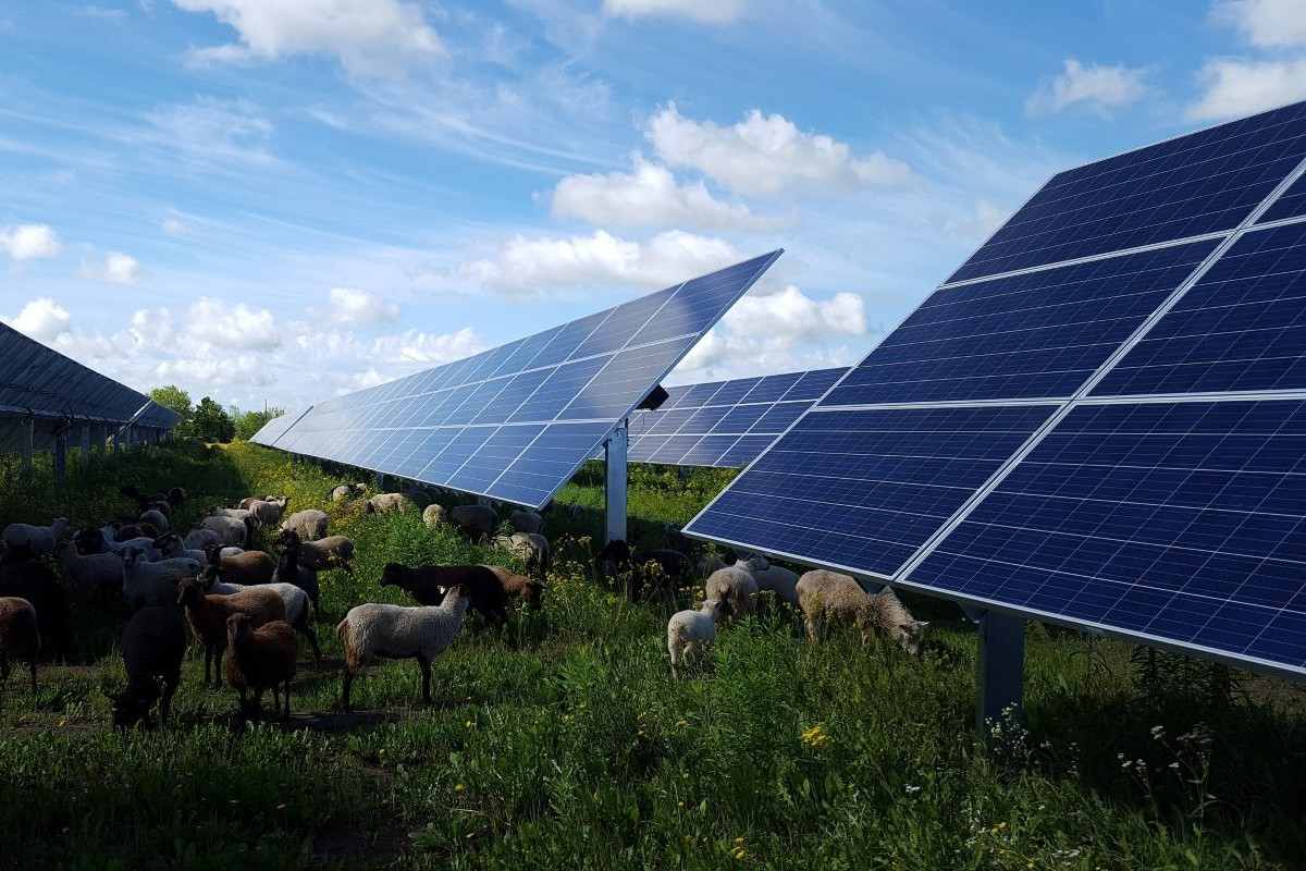 Enel accelera su reti e crescita globale: 53 mld di investimenti e 15 GW rinnovabili