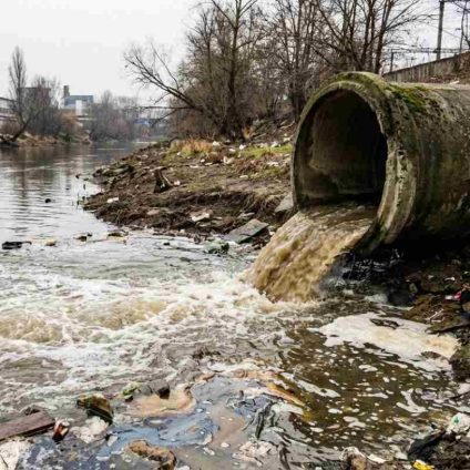 Rinnovabili • Tasse ambientali, UE: Italia tra i Paesi con più margini