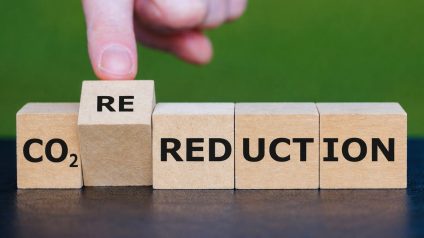 Rinnovabili • assorbimento-permanente-del-carbonio-ue-standard-volontario