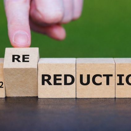 Rinnovabili • assorbimento-permanente-del-carbonio-ue-standard-volontario