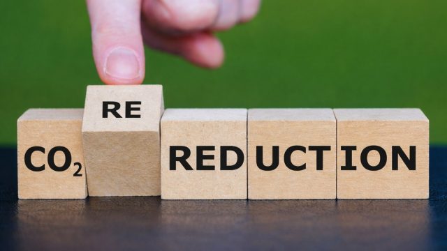 Rinnovabili • assorbimento-permanente-del-carbonio-ue-standard-volontario