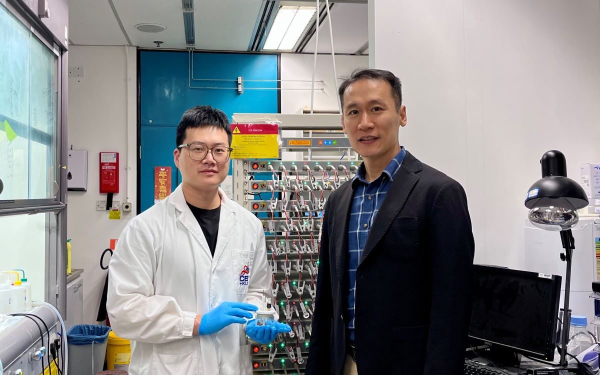 Batterie agli ioni calcio: efficienti e stabili per 1000 cicli