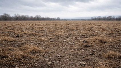 Rinnovabili • diritti-di-proprieta-terreni-rischio-climatico